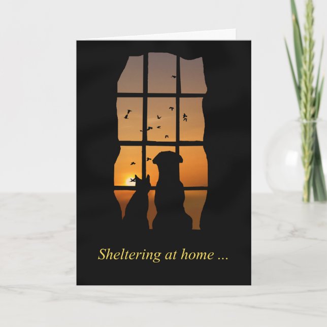 Sheltering at Home Dog and Cat Thinking of You Card (Front)