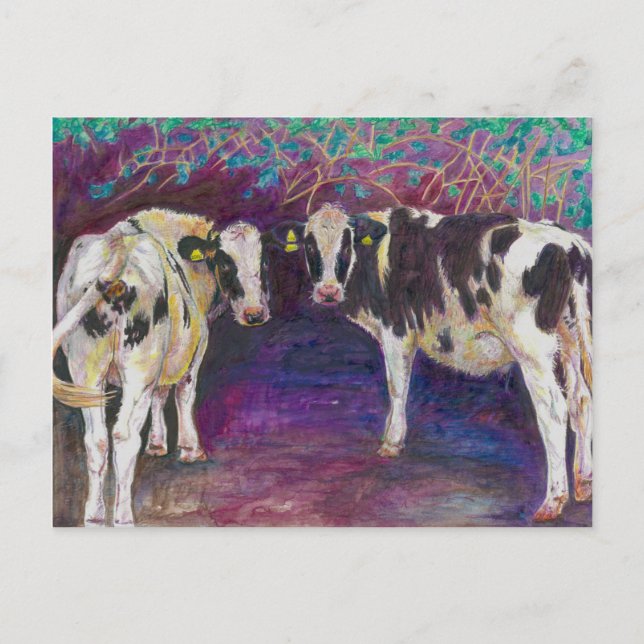 Sheltering cows 2011 postcard (Front)