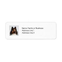 Sheltie Address Labels