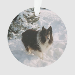 Sheltie and Husky Fun in the Snow Ornament