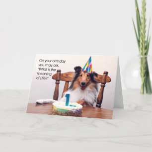 Sheltie Birthday Card