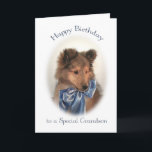 Sheltie Birthday Card for Grandson<br><div class="desc">This adorable Shetland Sheepdog puppy birthday card is almost as cute as your grandson!</div>