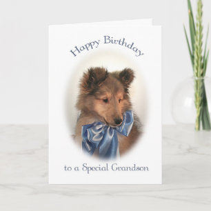 Sheltie Birthday Card for Grandson