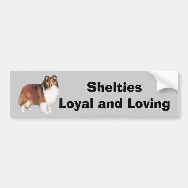 Sheltie Bumper Sticker (Front)