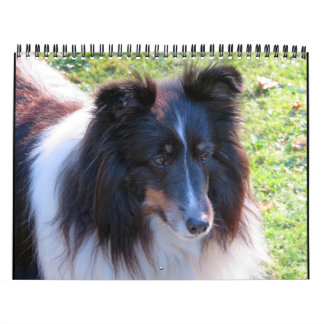 Sheltie Calendar
