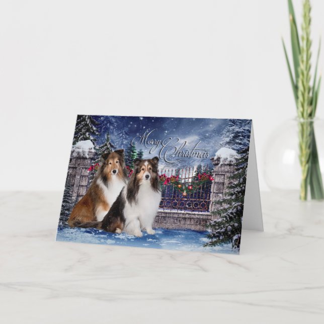 Sheltie Christmas Card (Front)