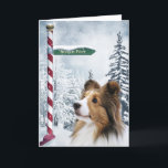 Sheltie Christmas Holiday Card<br><div class="desc">Beautiful Sheltie,  or Shetland Sheepdog,  in a winter background with a sign pointing to the North Pole dog lovers Christmas holiday greeting card... .text can be easily changed or removed</div>