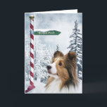 Sheltie Christmas Holiday Card<br><div class="desc">Beautiful Sheltie,  or Shetland Sheepdog,  in a winter background with a sign pointing to the North Pole dog lovers Christmas holiday greeting card... .text can be easily changed or removed</div>