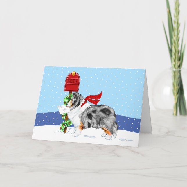 Sheltie Christmas Mail Blue Merle Holiday Card (Front)