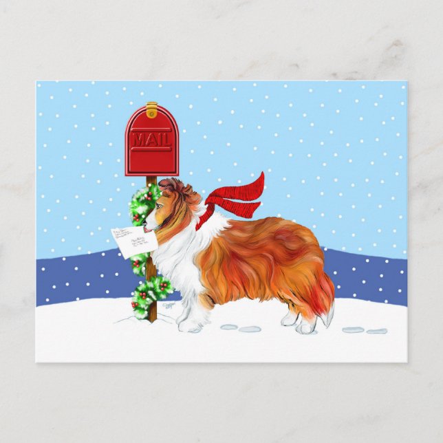 Sheltie Christmas Mail Sable Holiday Postcard (Front)