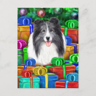 Sheltie Christmas Open Gifts Bi Blue Holiday Postcard