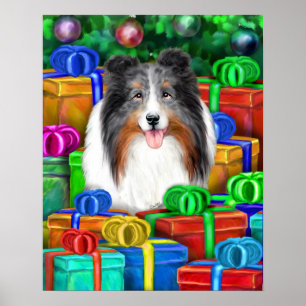 Sheltie Christmas Open Gifts Blue Merle Poster