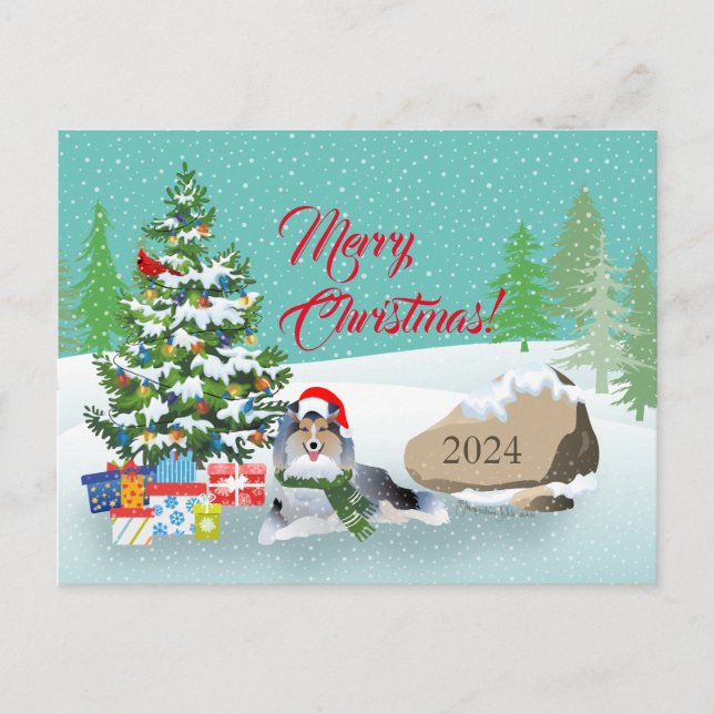 Sheltie Christmas with Grey Dog Holiday Postcard (Front)