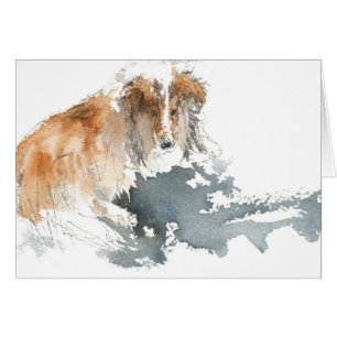 Sheltie dans la couleur d'eau
