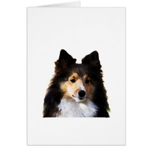 Sheltie Dog painting sketch