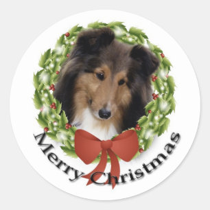 Sheltie Holiday #1 Sticker