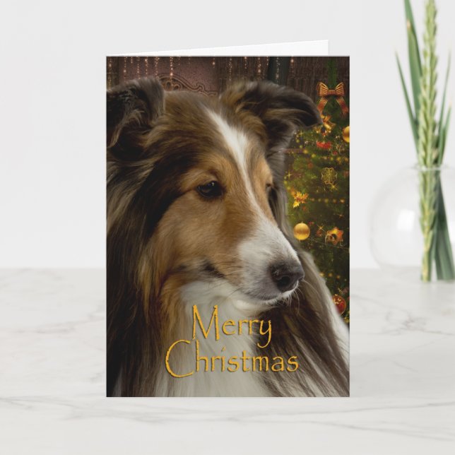 Sheltie Holiday Card (Front)