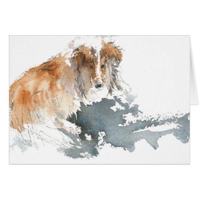 Sheltie in Water Colour (Front Horizontal)