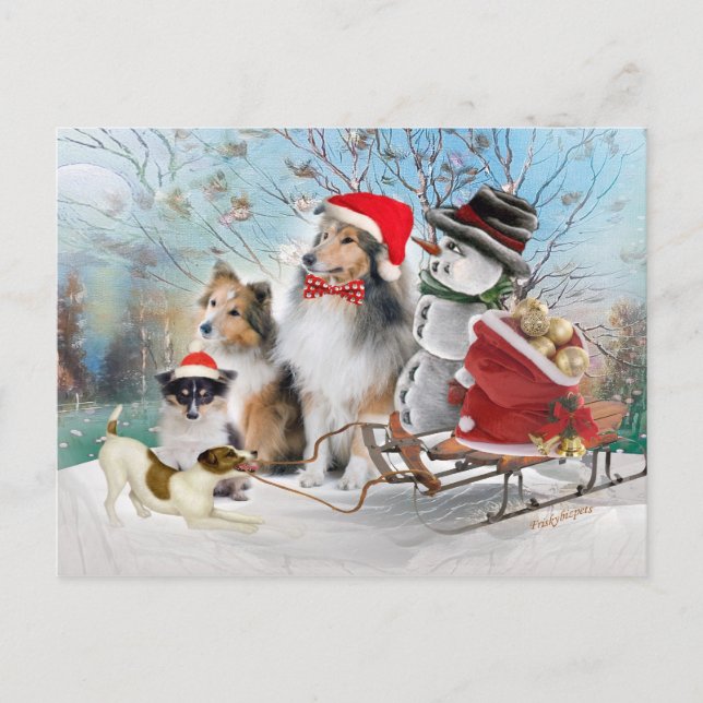Sheltie, Jack Russell and Snowman Xmas Cards (Front)