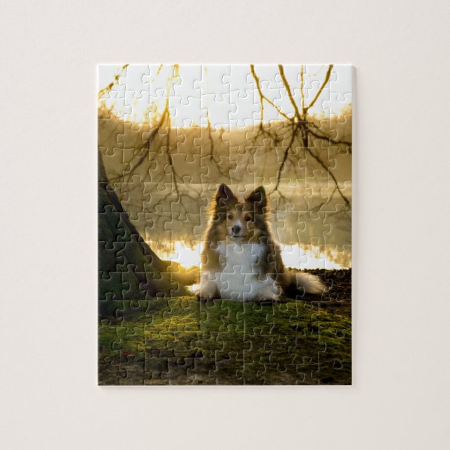 sheltie jigsaw puzzle (Vertical)