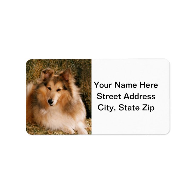 Sheltie Label (Front)
