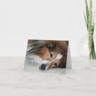 Sheltie Love Card