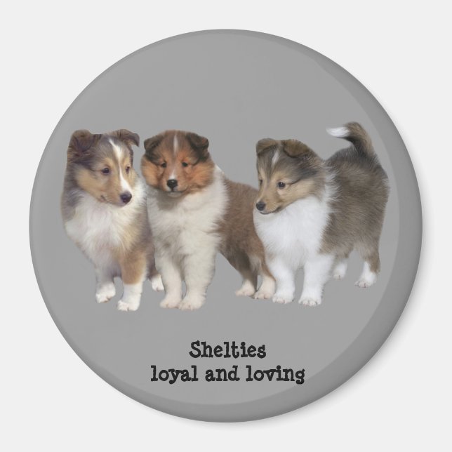 Sheltie Magnet (Front)