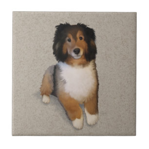 Sheltie mix dog portrait  tile