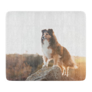 Sheltie on Cliff protecting heard during sunset Cutting Board