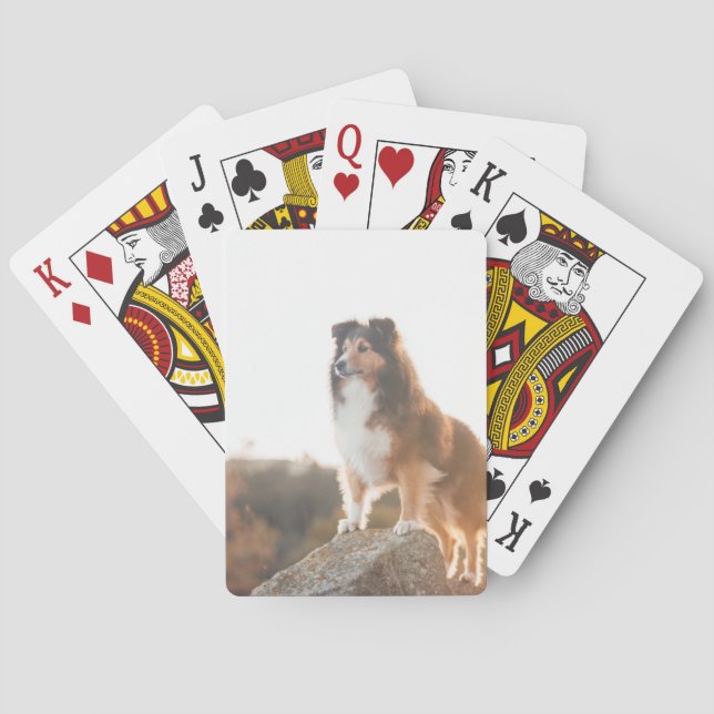 Sheltie on Cliff protecting heard during sunset Playing Cards (Back)
