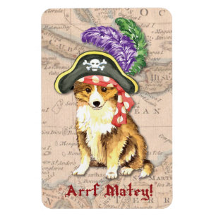 Sheltie Pirate Magnet