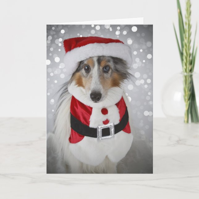 Sheltie Santa Clause Holiday Card (Front)