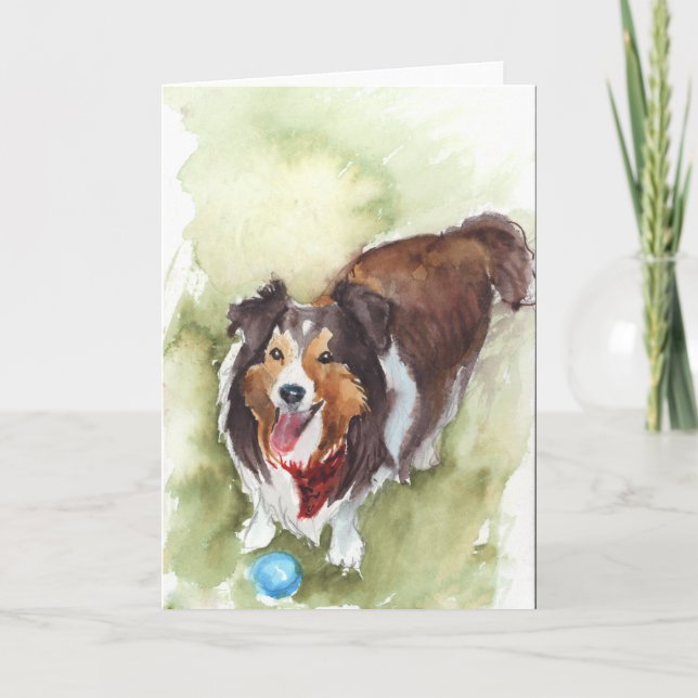 Sheltie/Shetland Sheep Dog Greeting Card (Front)