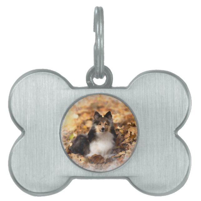 Sheltie Shetland Sheepdog Art Painting Pet ID Tag (Front)