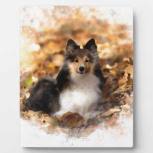 Sheltie Shetland Sheepdog Art Painting Plaque