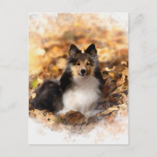 Sheltie Shetland Sheepdog Art Painting Postcard