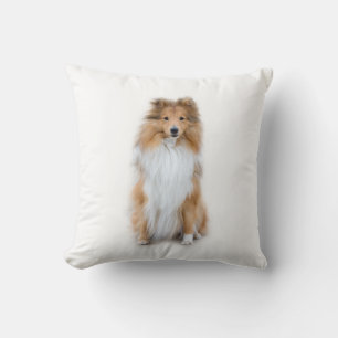 Sheltie Shetland Sheepdog Coussin