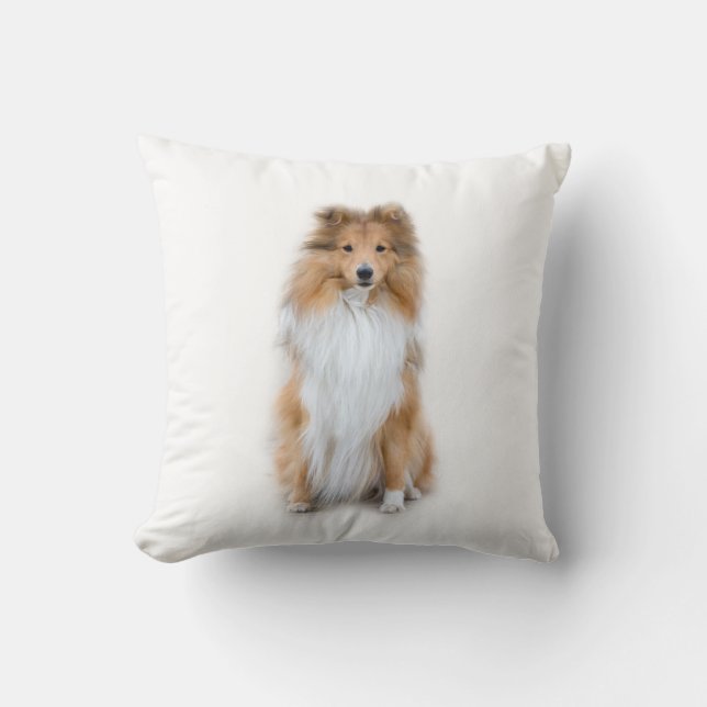 Sheltie Shetland Sheepdog Pillow (Front)
