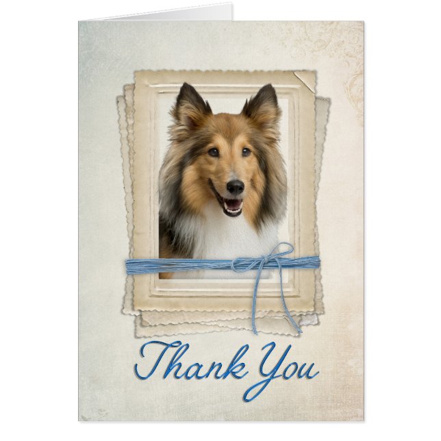 Sheltie Thank You Card (Front)
