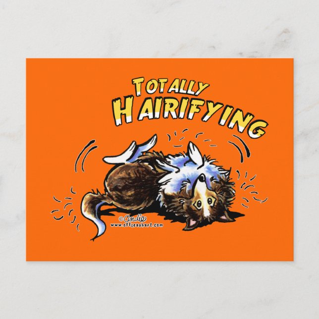 Sheltie Totally Hairifying Postcard (Front)
