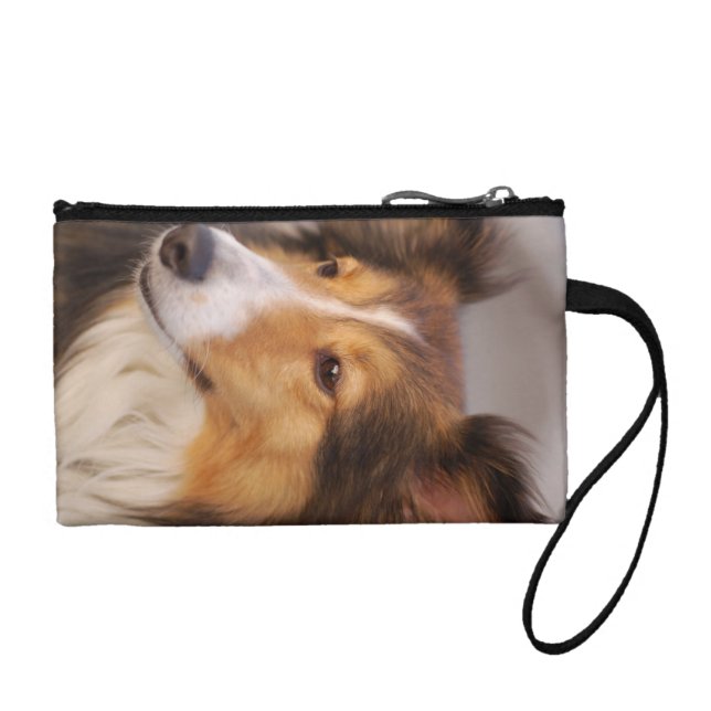 Shelty coin purse (Front)