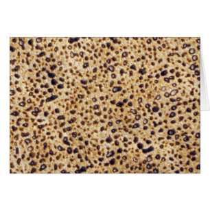 Shemura Matzah Gram