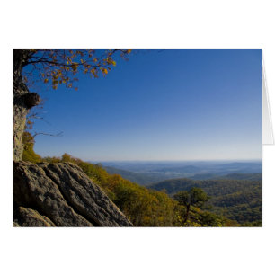 Shenandoah Automne