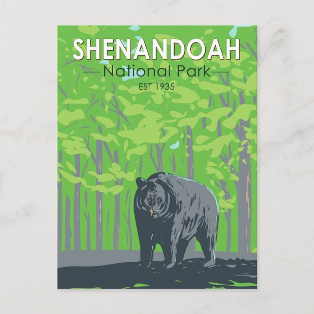 Shenandoah National Park Black Bear Vintage Postcard (Front)