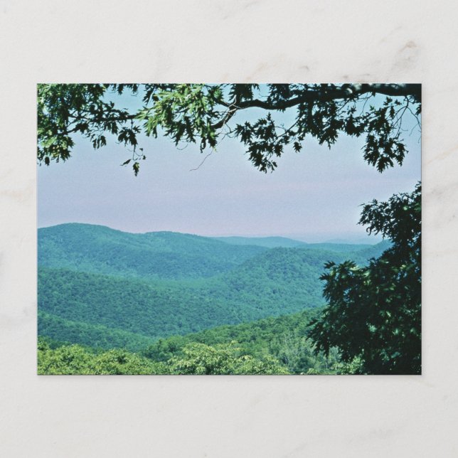 Shenandoah National Park Postcard (Front)