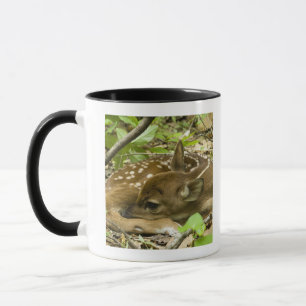 Shenandoah NP, Virginia, USA Mug