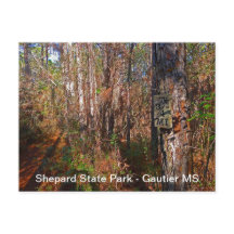Shepard State Park Trail Sign