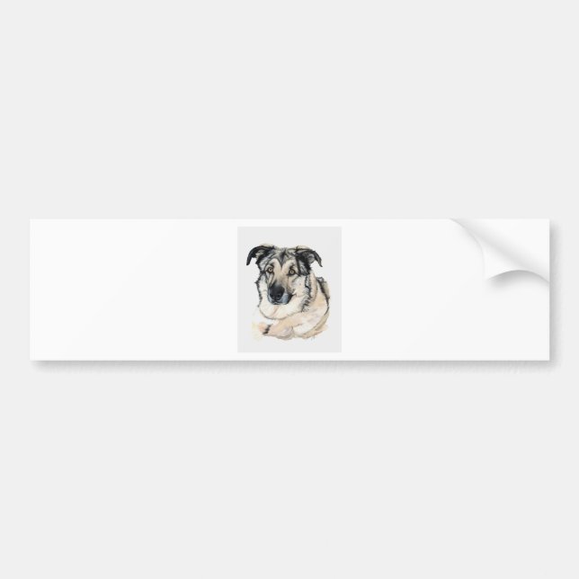 Shepca Supreme Bumper Sticker (Front)