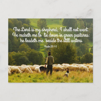 Shepherd and his sheep flock postcard