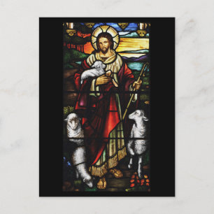 Shepherd and His Sheep StJohnsAshfiel Postcard